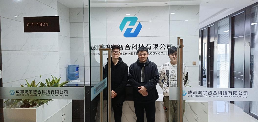 信息系統集成服務的多維價值與未來發展